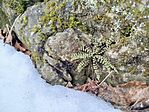 IMG_20260222_110522