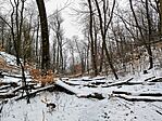 IMG_20260222_105750