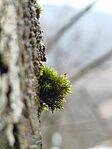 IMG_20260222_102006