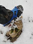 IMG_20260222_111248