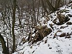 IMG_20260222_111141