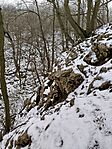IMG_20260222_111147