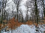 IMG_20260222_104721