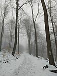 IMG_20260222_132010