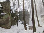 IMG_20260222_130756
