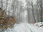 IMG_20260222_125906