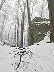 IMG_20260222_130516