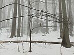 IMG_20260222_130338
