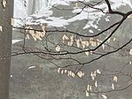 IMG_20260222_130903