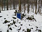 IMG_20260222_151146