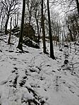 IMG_20260222_145311