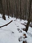 IMG_20260222_150914