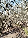 IMG_20260224_123343