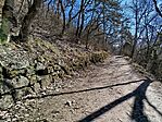 IMG_20260224_123238