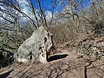 IMG_20260224_122929