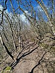 IMG_20260224_123055