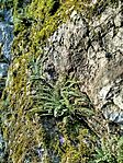 IMG_20260224_090656