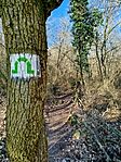 IMG_20260224_081953