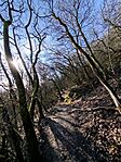IMG_20260224_082305