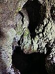 IMG_20260224_082514