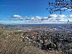 IMG_20260224_083509