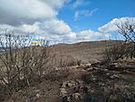 IMG_20260224_111843