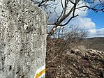IMG_20260224_111916