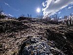 IMG_20260224_111632