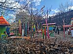 IMG_20260224_151034