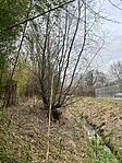 IMG_2915