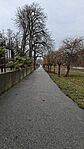 20260205_091959