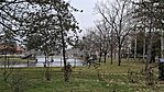 20260209_101803