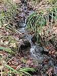 IMG_20260214_150427