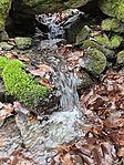 IMG_20260214_151808