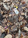 IMG_20260214_160227