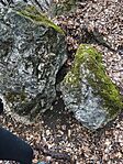 IMG_20260131_162158