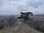 IMG_20260131_162942