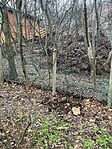 IMG_9851