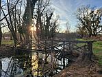 20260218_163231 Large