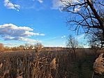 20260218_163037 Large