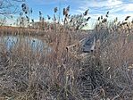 20260218_162748 Large