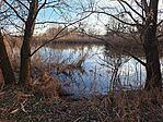 20260218_162814 Large