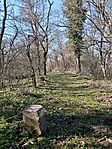 IMG_20260228_145210