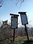 IMG_20260228_145804