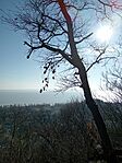 IMG_20260228_145815