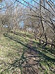 IMG_20260228_150920
