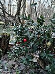IMG_20260228_154549