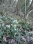 IMG_20260228_160215