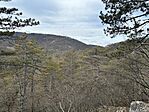 IMG_7212