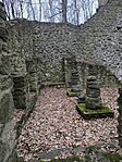 IMG_20260214_153822